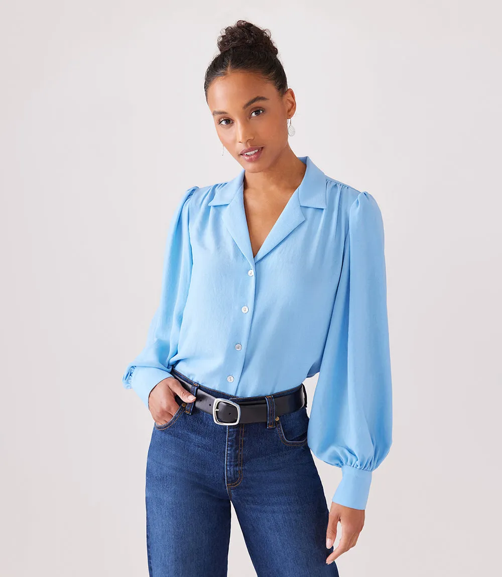 Blouson Sleeve Top