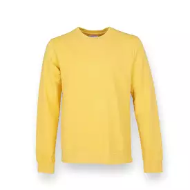 Colorful Standard Crew Sweat lemon yellow