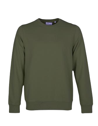 Colorful Standard Crew Sweat seaweed green